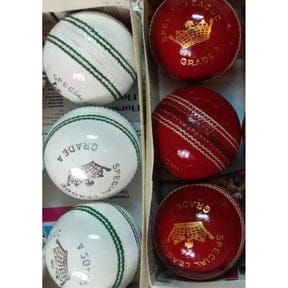 Cricket Hard Ball
