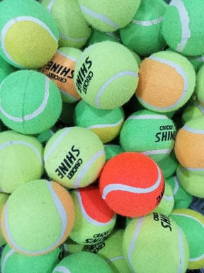Cricket Shine Balls