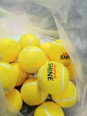 Cricket Super Shine Ball