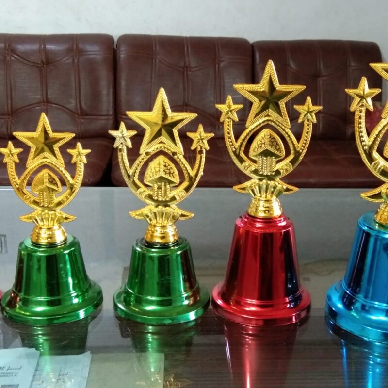 Plastic Cup Trophy SKU:50011