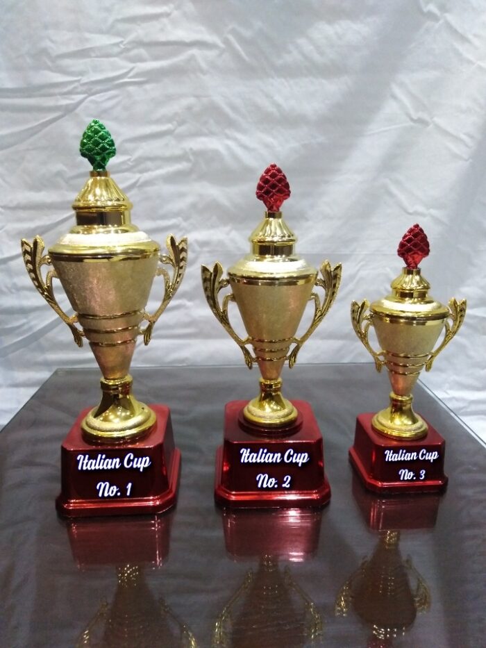 Plastic Cup Trophy SKU:5003