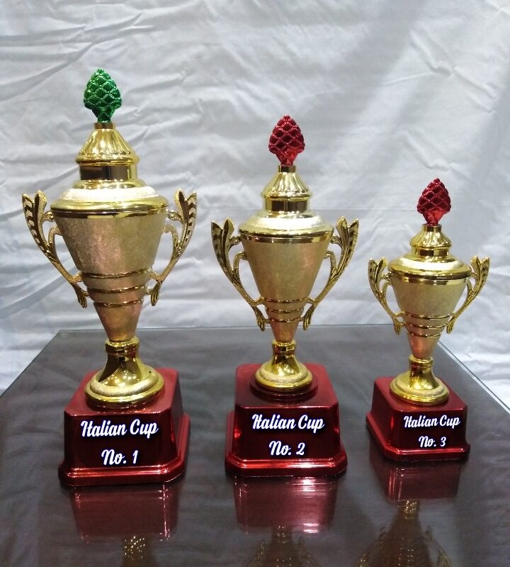 Plastic Cup Trophy SKU:5003
