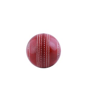 KOOKA BURRA REGULATION – Hard Ball – 2 Pcs Pack